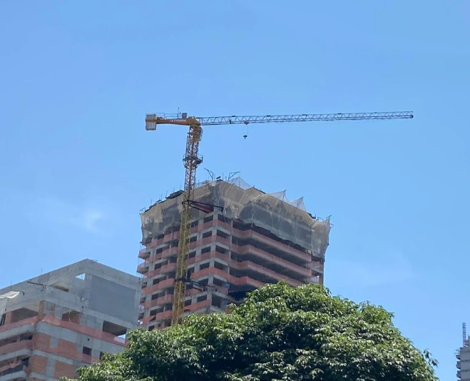 Modelos que podem operar como <strong>grua fixa?</strong>