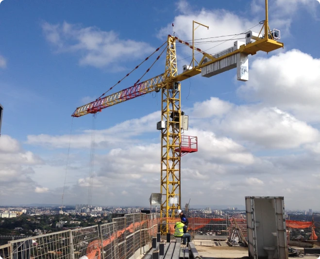 Modelos que podem operar como <strong>grua ascensional?</strong>