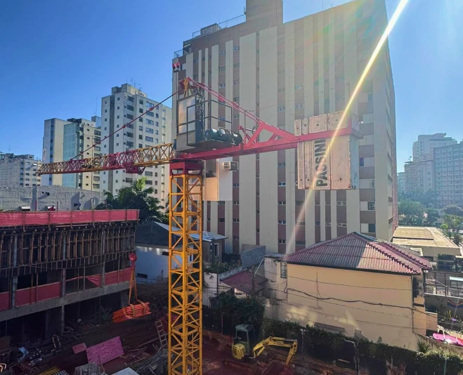 Modelos que podem operar como <strong>grua fixa?</strong>